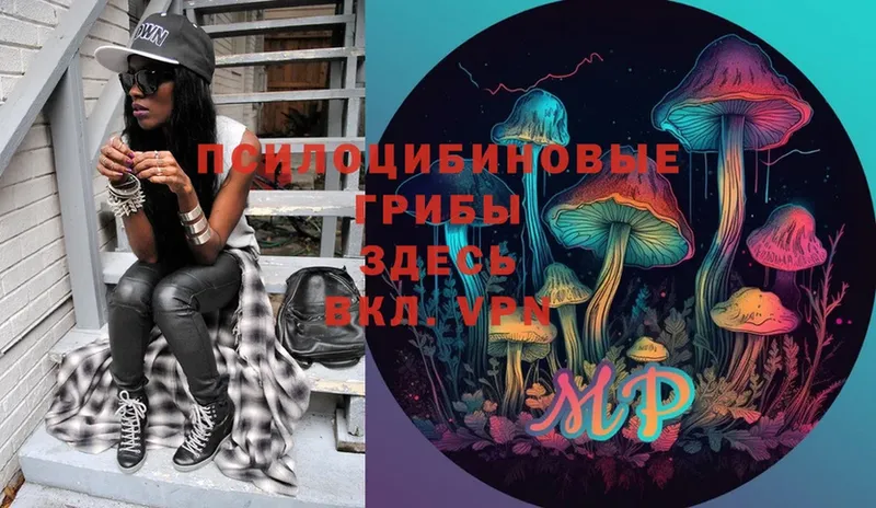 Галлюциногенные грибы Psilocybe  купить закладку  Северская 