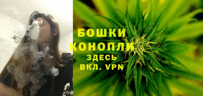 Каннабис SATIVA & INDICA  ОМГ ОМГ ONION  Северская  купить наркотики цена 